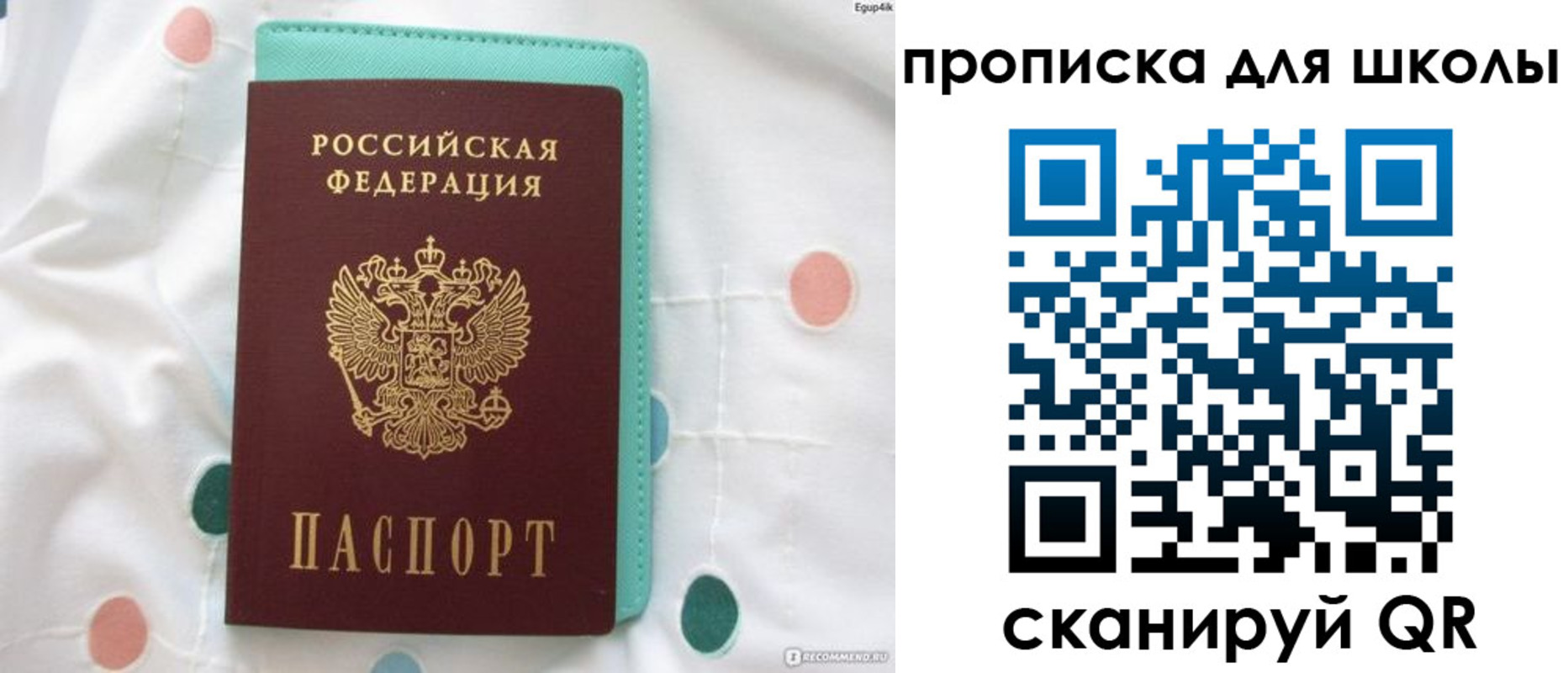 временная регистрация для всех в Волосово